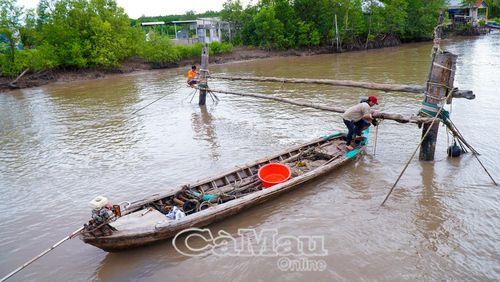  Người dân tự nguyện tháo dỡ hàng đáy trên sông.