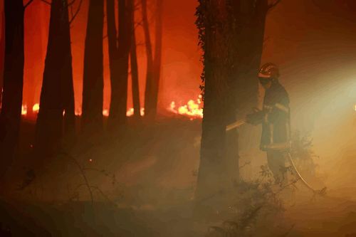 Ngọn lửa bao trùm cây cối trong một vụ cháy rừng bùng phát ở Luglon, Pháp. Ảnh: Reuters
