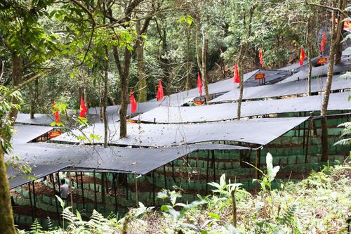 Theo Ban Chỉ huy Bộ đội Biên phòng tỉnh Lai Châu, mô hình đã xây dựng được 63 nhà dàn, mái che với tổng diện tích gần 6 ha.