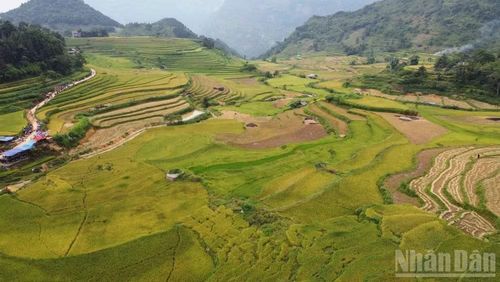 Mùa vàng Sín Chéng tựa như bức tranh thiên nhiên tuyệt đẹp.