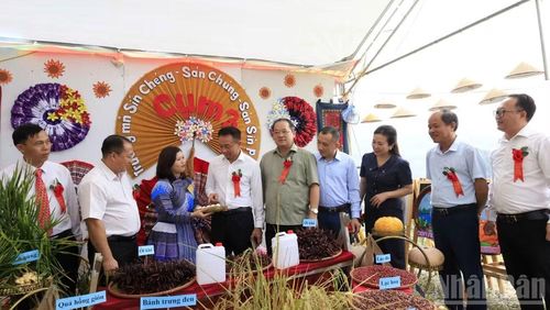 Các đại biểu tham quan gian hàng truyền thống trong khuôn khổ lễ hội.