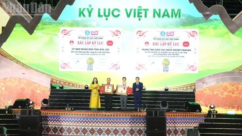 Tại lễ khai mạc, Tổ chức Kỷ lục Việt Nam - VietKings đã trao Bằng chứng nhận 2 Kỷ lục Việt Nam được xác lập tại Lễ hội là “Mô hình chiếc gùi sầu riêng lớn nhất Việt Nam” và “Sự kiện chế biến và công diễn các món ăn từ sầu riêng với số lượng nhiều nhất Việt Nam”. (Ảnh: Nguyễn Công Lý)