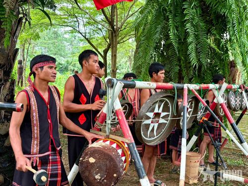 Nhiều nhạc cụ được trình diễn tại chương trình.