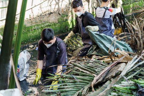 Các bạn trẻ dọn rác, khơi thông dòng chảy tại rạch cầu Bà Sáu, xã Hiệp Phước