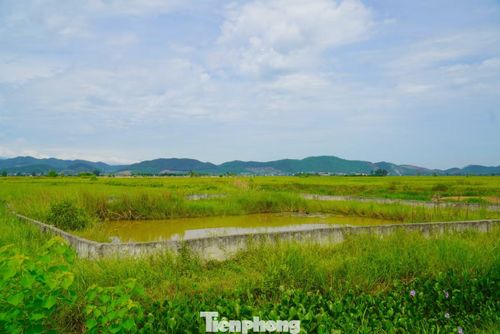 Người dân thôn Nam Sơn khốn khổ tìm nguồn nước sạch.
