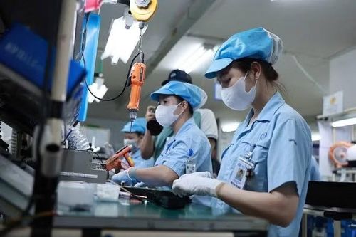 Doanh nghiệp FDI vẫn duy trì đà xuất siêu, trong khi doanh nghiệp trong nước nhập siêu lớn.