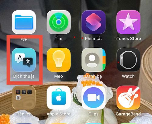 Translate là ứng dụng dịch ngôn ngữ được Apple cài đặt sẵn trên iPhone.
