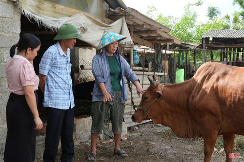 Trước nguy cơ dịch bệnh phát sinh và lây lan, Ban cán sự thôn Nam Sơn nhanh chóng đến từng hộ chăn nuôi tuyên truyền, hướng dẫn người dân thực hiện các biện pháp phòng, chống dịch.