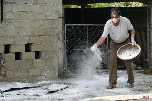 Cùng với cách ly gia súc mắc bệnh, địa phương triển khai vệ sinh, tiêu độc, khử trùng chuồng trại và khu vực chăn nuôi. Đây là một trong những giải pháp quan trọng để giảm nguy cơ phát tán mầm bệnh ra môi trường.