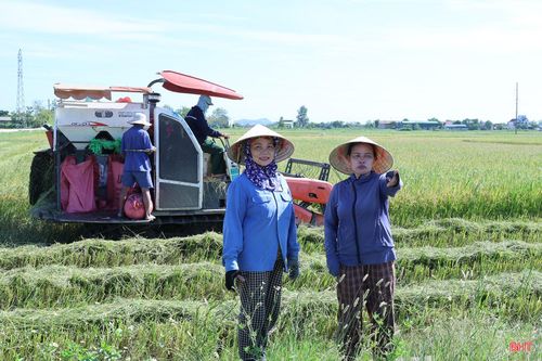  Bà Hoàng Thị Kim Dũng (người bên phải) - Trưởng thôn Hạ Long, xã Đức Thọ cho biết: “Vụ hè thu năm ngoái, lúa chín đúng vào đợt mưa lớn nên nhiều diện tích không kịp thu hoạch, ảnh hưởng đến năng suất, sản lượng. Năm nay, bà con xuống giống sớm hơn. Hiện, toàn thôn đã thu hoạch được hơn 80% diện tích. Điều đáng mừng là năng suất khá, giá bán lúa khô hiện cao hơn khoảng 10% so với cùng kỳ năm 2025. Với bà con vùng thấp trũng, lúa thu hoạch và đưa được về nhà an toàn mới thực sự yên tâm”. 