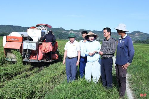 Nhờ lựa chọn giống lúa ngắn ngày (thời gian sinh trưởng từ 79 - 85 ngày) nên 3 ha lúa ở vùng ngoài đê La Giang của gia đình ông Trần Ngọc Hiệu (thôn Đức Trường, xã Đức Minh) đã bước vào thu hoạch. Điều ông Hiệu phấn khởi là lúa chín vào những ngày tạnh ráo, thuận lợi thu hoạch, giảm nguy cơ thiệt hại do mưa bão cuối vụ.