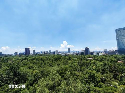 Toàn cảnh Mexico City nhìn từ lâu đài Chapultepec, với công viên và các khu vực đô thị trải rộng phía dưới. (Ảnh: Phương Lan/TTXVN)