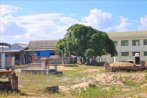 Trường Tiểu học Tịnh Khê, phân hiệu Cổ Lũy chỉ cách nghĩa địa 50m.