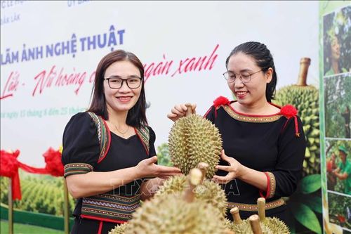 Công chúng chụp hình với trái sầu riêng trong khuôn khổ triển lãm.