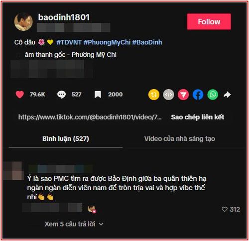 Bài đăng của Bảo Định về Phương Mỹ Chi khiến khán giả thích thú (Ảnh: Chụp màn hình TikTok baodinh1801)