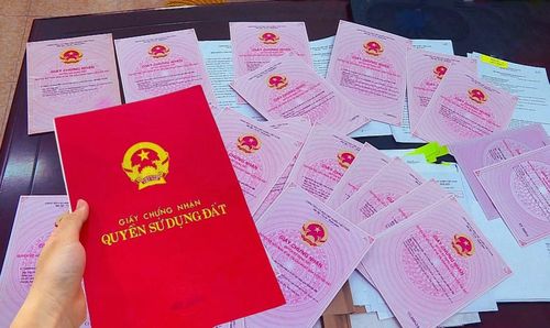 Có người cho rằng điểm mấu chốt nhà bạn cần làm là xem lại từ đoạn thời gian thêm tên 6 người nhà bác cả vào sổ đất