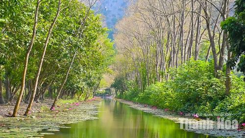 Điểm nhấn trong hành trình khám phá Kim Sơn chính là trải nghiệm ngồi thuyền trên suối Ấu. Dòng suối dài gần 3km, uốn lượn mềm mại qua núi đá, khi rộng mở giữa những khoảng nước mênh mông, lúc lại len lỏi giữa các vách núi.
