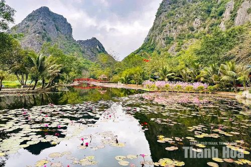 Một trong những giá trị làm nên sức hấp dẫn của Kim Sơn chính là vẻ đẹp tự nhiên gần như chưa bị bê tông hóa. Núi đá, hang động, dòng suối, mặt nước, cây cỏ và những công trình tâm linh đan xen, tạo thành một quần thể cảnh quan hài hòa.