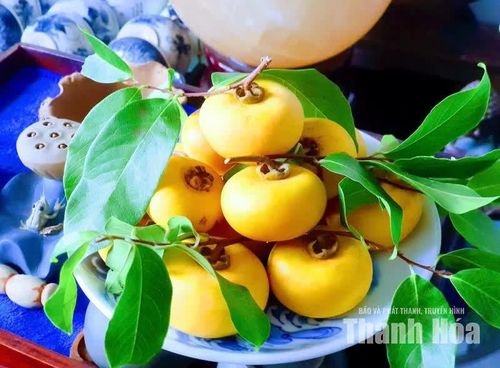 Những quả thị đầu mùa thoảng thơm như bước ra từ câu chuyện cổ tích.