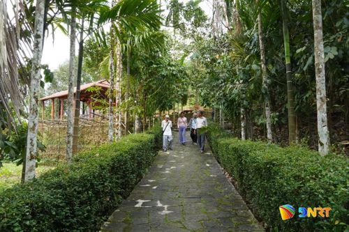 Không gian yên bình nơi Làng cổ Lộc Yên. Ảnh: D.LỆ