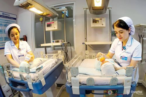 Chăm sóc. Ảnh: Trịnh Lê Hoài (chụp tại phường Trấn Biên)