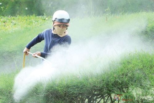 Tưới cây. Ảnh:  Phạm thiên Long (chụp tại phường Xuân Lộc)