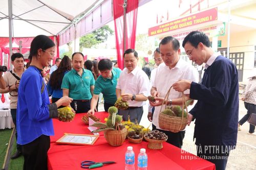 Các đại biểu tham quan gian hàng trưng bày sản phẩm