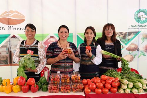 Bà Liêng Jrang K’Sáu, Phó Chủ tịch Hội Nông dân xã Lạc Dương (thứ hai từ trái qua) luôn động viên hội viên, nông dân tham gia các mô hình kinh tế hiệu quả