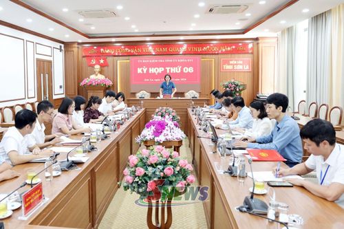 Kỳ họp thứ 6, Ủy ban Kiểm tra Tỉnh ủy khóa XVI.