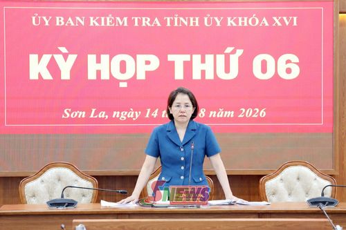Đồng chí Dương Tú Anh, Ủy viên Ban Thường vụ Tỉnh ủy, Chủ nhiệm Ủy ban Kiểm tra Tỉnh ủy, phát biểu tại kỳ họp.