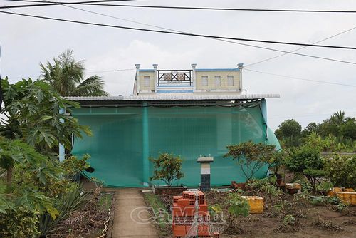 Bụi đường mịt mù khiến nhà dân phải che chắn nhà cửa, cây cối ven đường khó phát triển. 