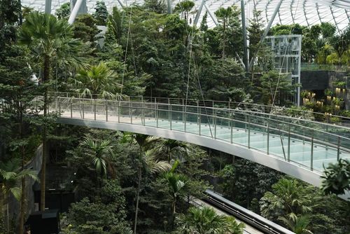 Du khách cũng có thể tham quan vườn bướm, chiêm ngưỡng các tác phẩm điêu khắc hoặc thậm chí bơi trong hồ bơi trên sân thượng nhìn ra đường băng. (Ảnh: AD)