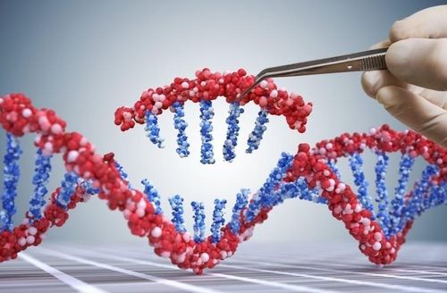 Công nghệ gene và máy tính thế hệ mới đang mở ra một hướng tiếp cận đầy hứa hẹn trong điều trị ung thư. Ảnh: Nature.