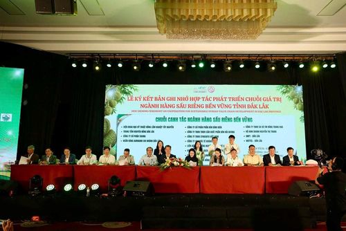 Lễ ký kết 08 Biên bản ghi nhớ hợp tác (MOU) về liên kết chuỗi giá trị ngành hàng sầu riêng bền vững trong khuôn khổ diễn đàn