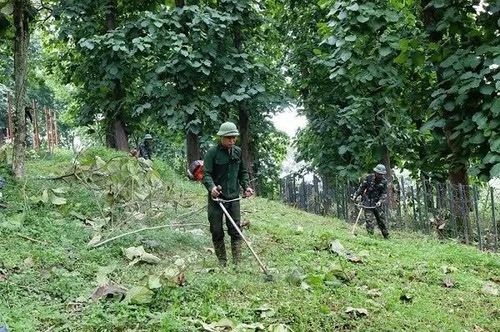 “Chiến dịch Xanh” hướng tới tăng cường phối hợp giữa các lực lượng trong bảo vệ, chăm sóc cảnh quan, đồng thời nâng cao ý thức, trách nhiệm của cán bộ, chiến sĩ và cộng đồng. (Nguồn: Báo Văn Hóa)