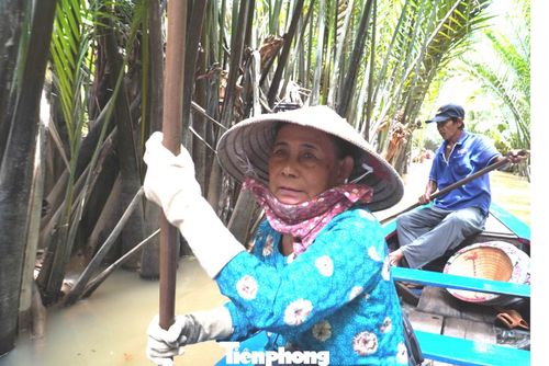  Những người lái đò tại cồn Thới Sơn đều là người địa phương, gần như cả đời gắn bó với mái chèo, con nước. Không chỉ chèo đò, họ còn kể chuyện văn hóa, cất lên những tiếng hò vọng cổ trong trẻo, ngọt lịm: "Hò... ơ... Thuyền em nhẹ lướt như tơ/ Khách ngồi xuồng nhỏ ai ngờ say mê/ Nước sông gió mát tràn trề/ Câu hò em gửi... /hò... ơ... câu hò em gửi lời quê ngọt ngào". 