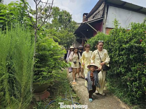 Sông nước, miệt vườn tại cồn Thới Sơn đang trở thành điểm đến được nhiều bạn trẻ thành phố tìm tới trải nghiệm.