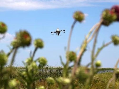 Trong 1 tháng thí điểm hệ thống, lực lượng chức năng ghi nhận 597 drone hoạt động trong vùng kiểm soát sân bay Đà Nẵng. Ảnh: Internet.
