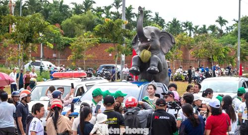 Dọc tuyến đường, đông đảo người dân, du khách tập trung theo dõi đoàn xe diễu hành, chở theo những trái sầu riêng từ vùng trồng. Anh Lê Văn Cường (xã Ea Tul) chia sẻ: “Gia đình cũng làm sầu riêng nên nhìn những chiếc xe chở trái sầu riêng, người nông dân như tôi rất tự hào. Sự kiện đã tiếp thêm động lực cho người trồng sầu riêng như chúng tôi”.