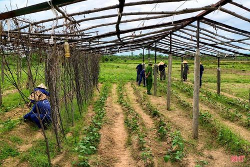 Các học viên cai nghiện bắt buộc tại Cơ sở cai nghiện ma túy tỉnh Hà Tĩnh trong giờ lao động.