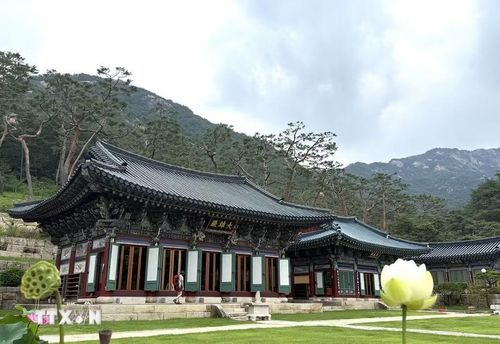 Chùa Jingwansa dưới chân núi Bukhansan, có lịch sử gần 1.000 năm, là điểm đến nổi tiếng về văn hóa và Phật giáo truyền thống Hàn Quốc. (Ảnh: Nhật Hưng/TTXVN)