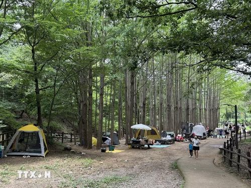 Hình ảnh người dân cắm trại trong khuôn viên làng Hanok Eunpyeong dưới chân núi Bukhansan. (Ảnh: Nhật Hưng/TTXVN)