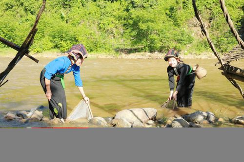 Phụ nữ dân tộc Thái đánh bắt cá trên sông, suối.
