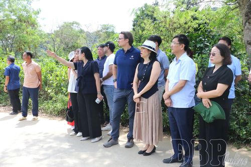 Đoàn công tác Công ty Cổ phần Cà phê Detech khảo sát khu vực dự kiến đầu tư Nhà máy chế biến sâu cà phê tại bản Na Luông, xã Mường Ảng.