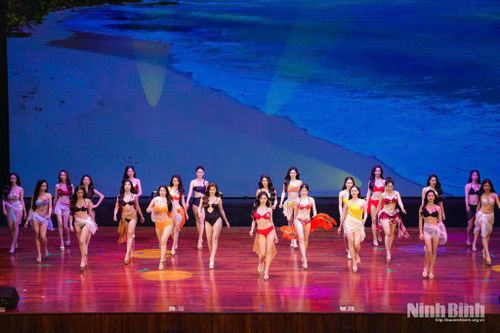 Các thí sinh dự thi trong trang phục áo tắm.