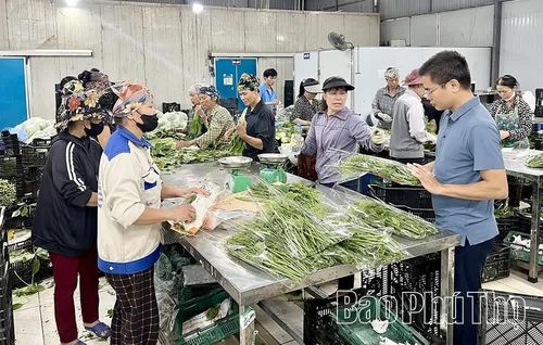Anh Nguyễn Văn Nghĩa (đeo kính) - Giám đốc HTX kiểm tra chất lượng, mẫu mã sản phẩm trước khi xuất bán.