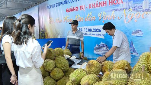 Sầu riêng, một đặc sản từ Khánh Hòa thu hút người dân và du khách - Ảnh: L.T