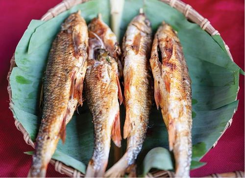  Cá nướng Nam Đông