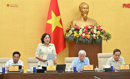 Phó Chủ tịch Quốc hội Nguyễn Thị Hồng phát biểu. Ảnh: Quang Khánh