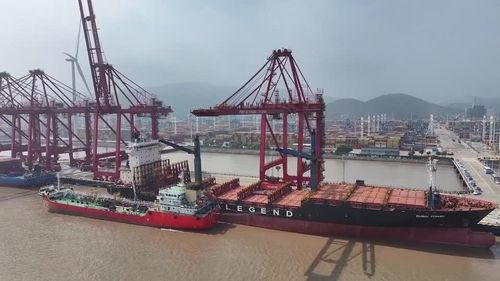 Tuyến vận tải container tốc hành Trung Quốc - châu Âu qua Bắc Cực đã chính thức triển khai dịch vụ thường xuyên hằng tuần trong mùa hè. Ảnh: Reuters